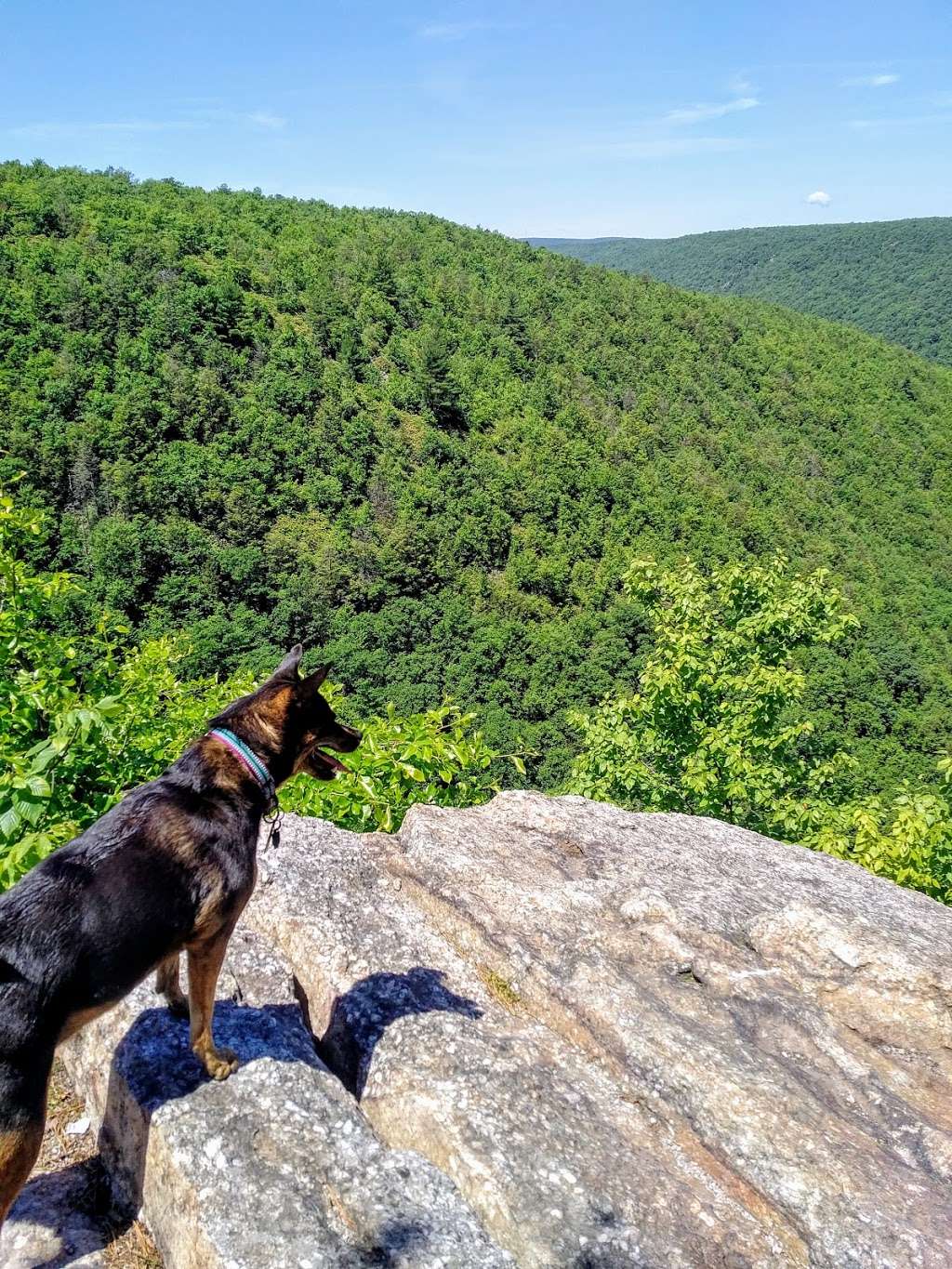 Scenic Overlook (Carbondale) | Carbondale, PA 18407