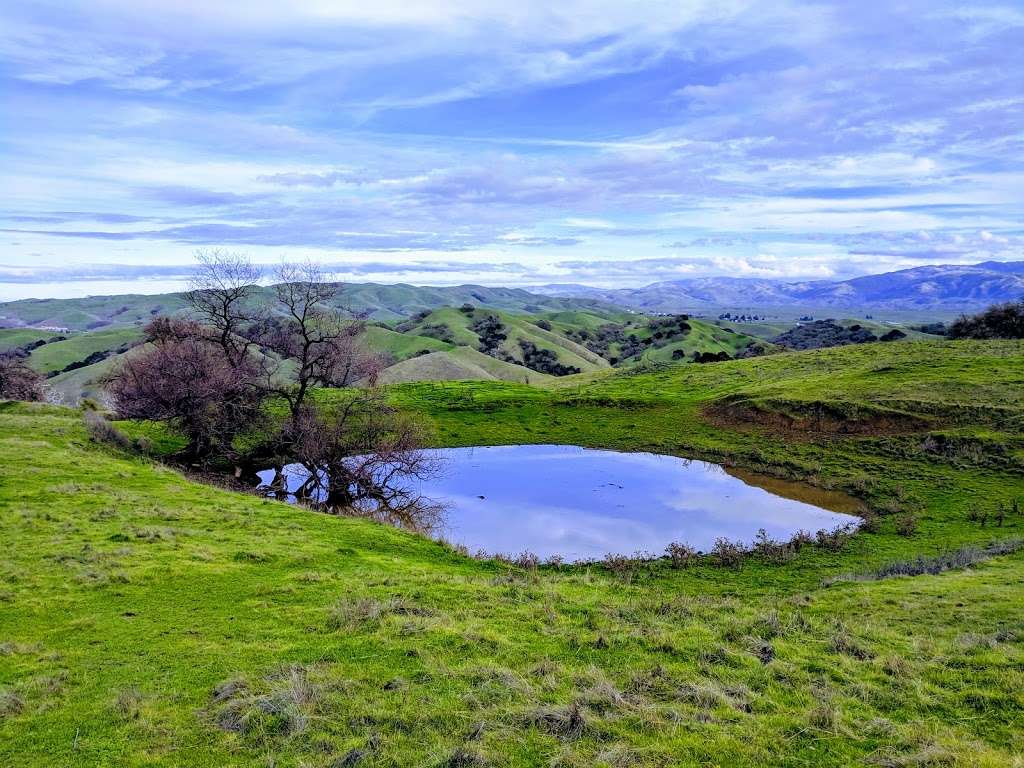 Pleasanton Ridge Regional Park | Foothill Rd, Pleasanton, CA 94588, USA | Phone: (510) 544-3030