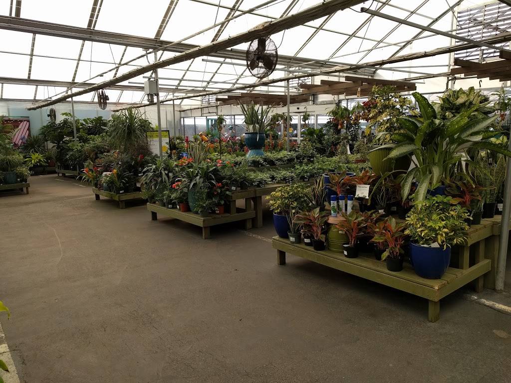 Pike Nurseries | 2101 Lavista Rd NE, Atlanta, GA 30329, USA | Phone: (404) 634-8604