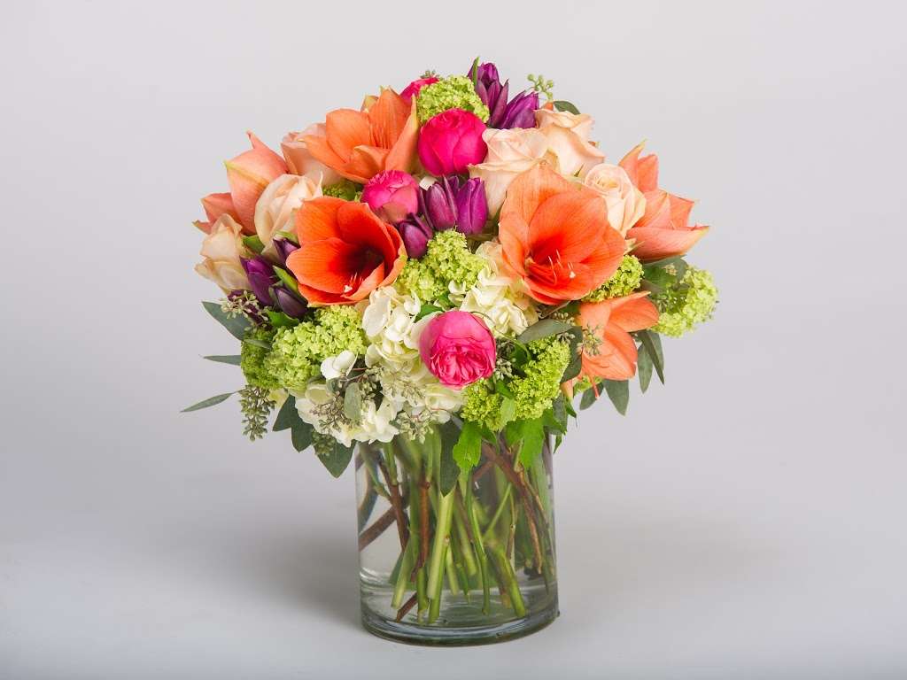 Robertsons Flowers & Events | 1301 E Mermaid Ln, Glenside, PA 19038, USA | Phone: (215) 836-3050