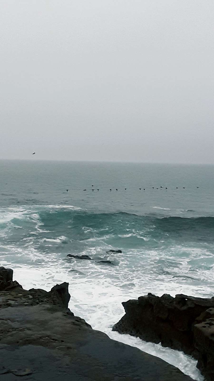 Tide Pool | 1160 Coast Blvd, La Jolla, CA 92037, USA