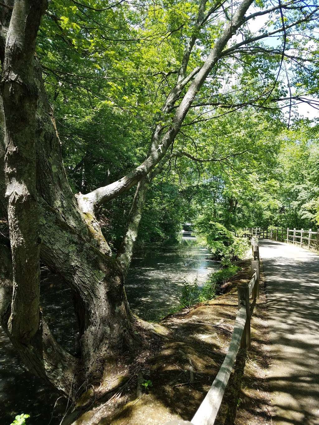 Blackstone Bicycles | 391 Mendon Rd, Cumberland, RI 02864, USA | Phone: (401) 335-3163