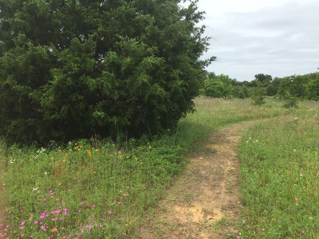 Goat Island Preserve | 2800 Post Oak Rd, Hutchins, TX 75141, USA