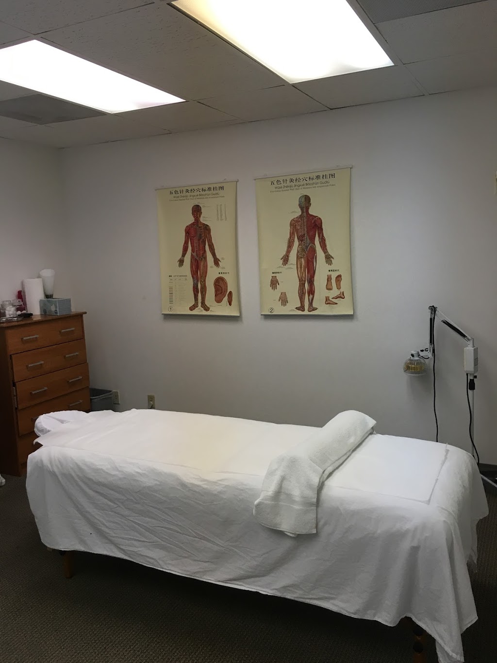 Julie Cao Acupuncture Clinic | 3074 Scott Blvd, Santa Clara, CA 95054, USA | Phone: (408) 988-6988