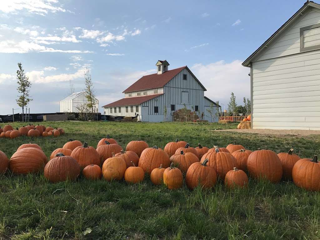 Bromley Hishinuma Farm | 1594 E Bromley Ln, Brighton, CO 80601 | Phone: (720) 518-5600