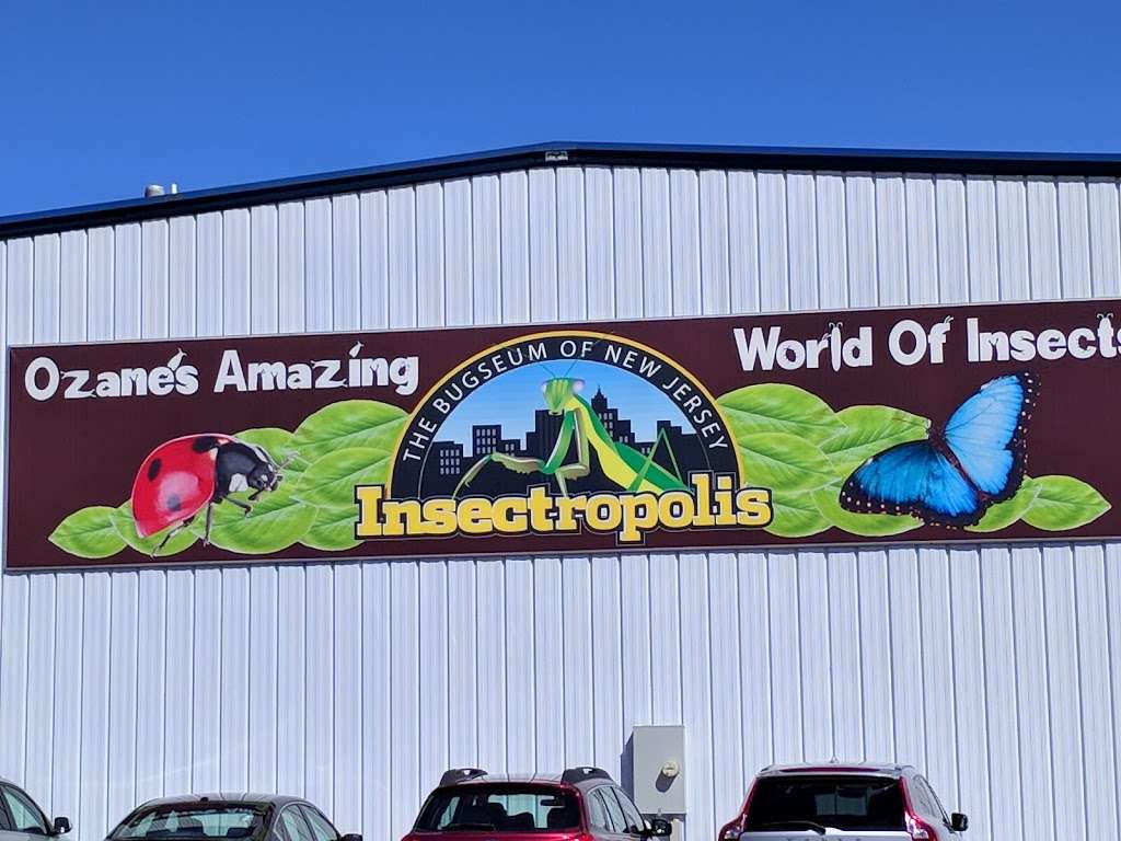 Insectropolis | 1761 U.S. 9, Toms River, NJ 08755, USA | Phone: (732) 349-7090