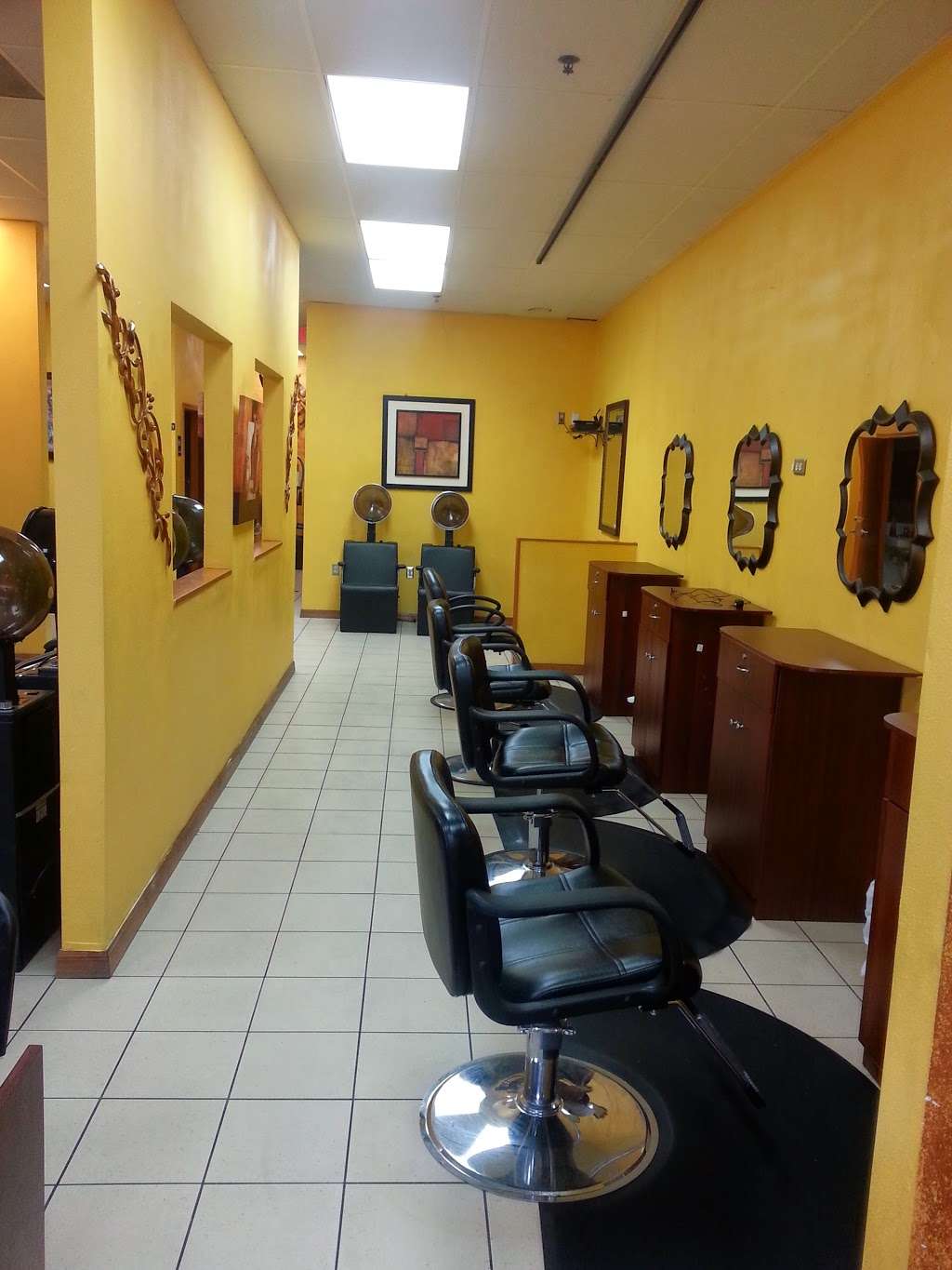 Hair Concept Salon | 1688 E Silver Star Rd, Ocoee, FL 34761 | Phone: (407) 413-5716