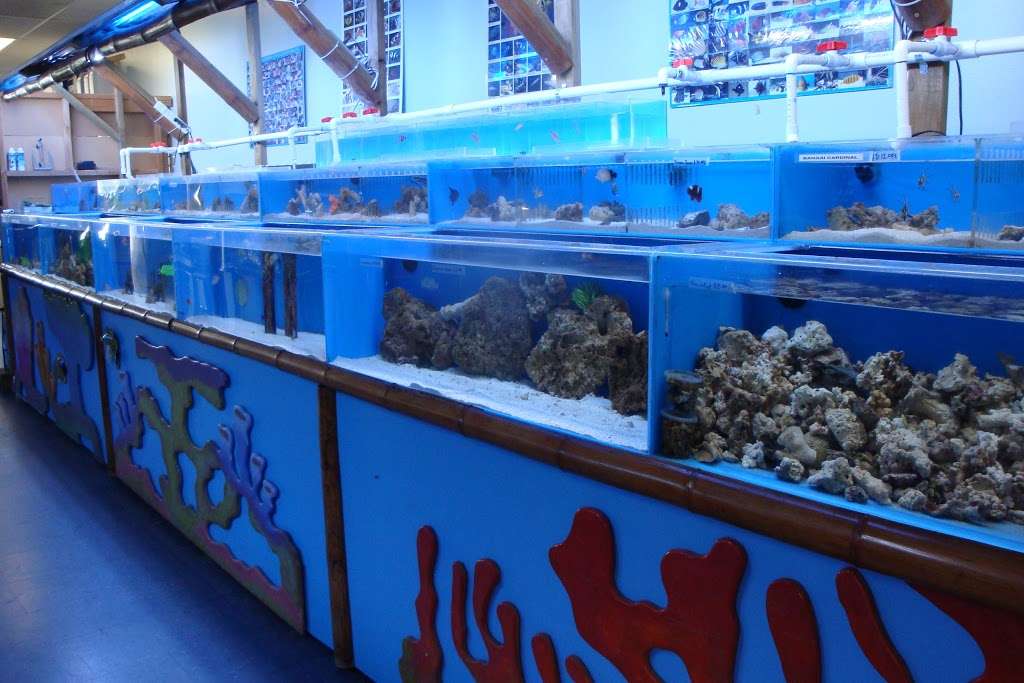 Trekkers Tropical Fish | 22547 Hawthorne Blvd, Torrance, CA 90505, USA | Phone: (424) 888-9858