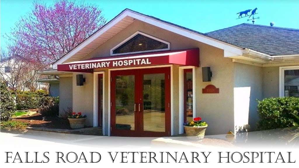 Falls Road Veterinary Hospital | 10229 Falls Rd, Potomac, MD 20854 | Phone: (301) 983-8400