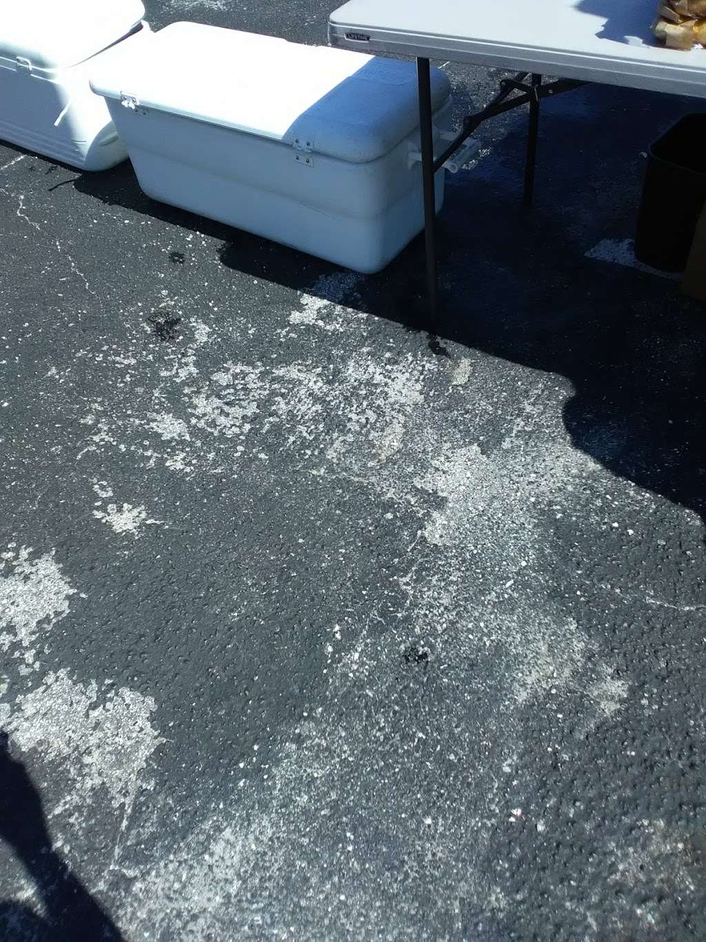 Murray Marine Services Inc | 1616 Broadway Ave, Riviera Beach, FL 33404, USA | Phone: (561) 842-4582