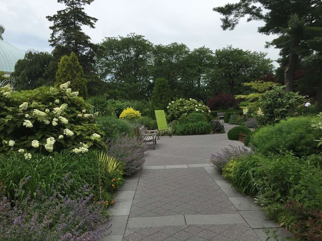 Ross Conifer Arboretum | Bronx Park Rd, The Bronx, NY 10458, USA | Phone: (718) 817-8779