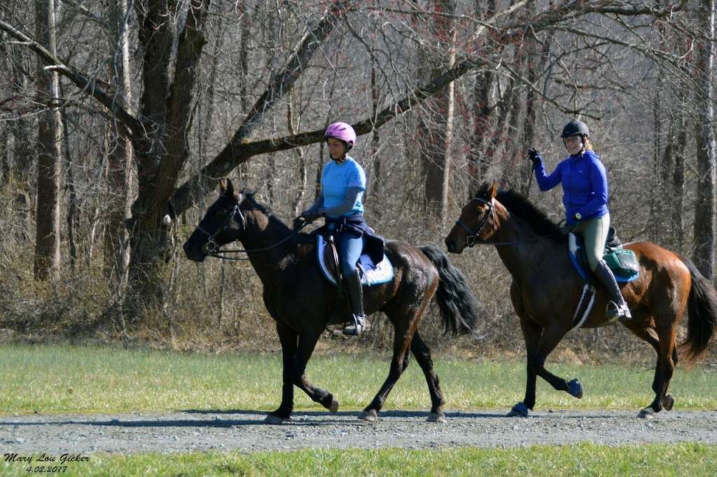 Fair Hill NRMA Equestrian Camping/Race Barns | Kennel Rd, Elkton, MD 21921, USA