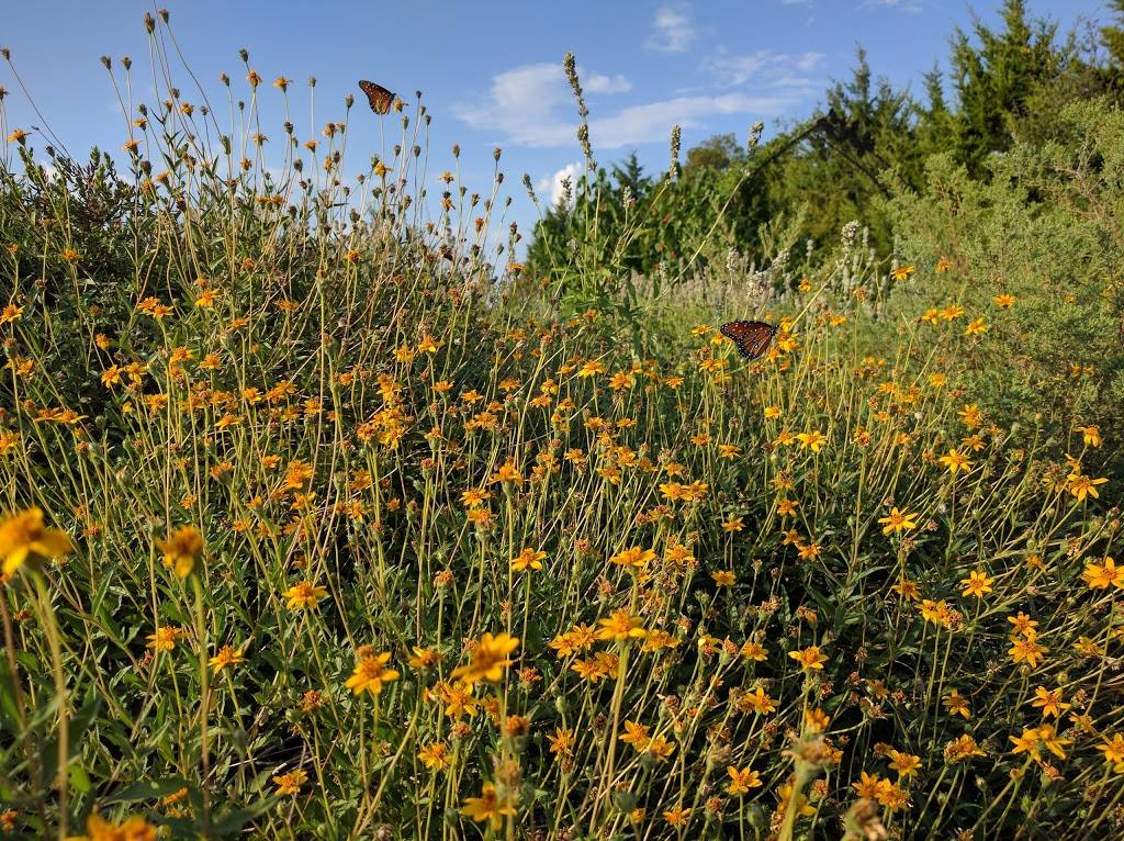 Mockingbird Nature Park | Mockingbird Lane, 1361 Onward Rd, Midlothian, TX 76065, USA | Phone: (972) 775-3481