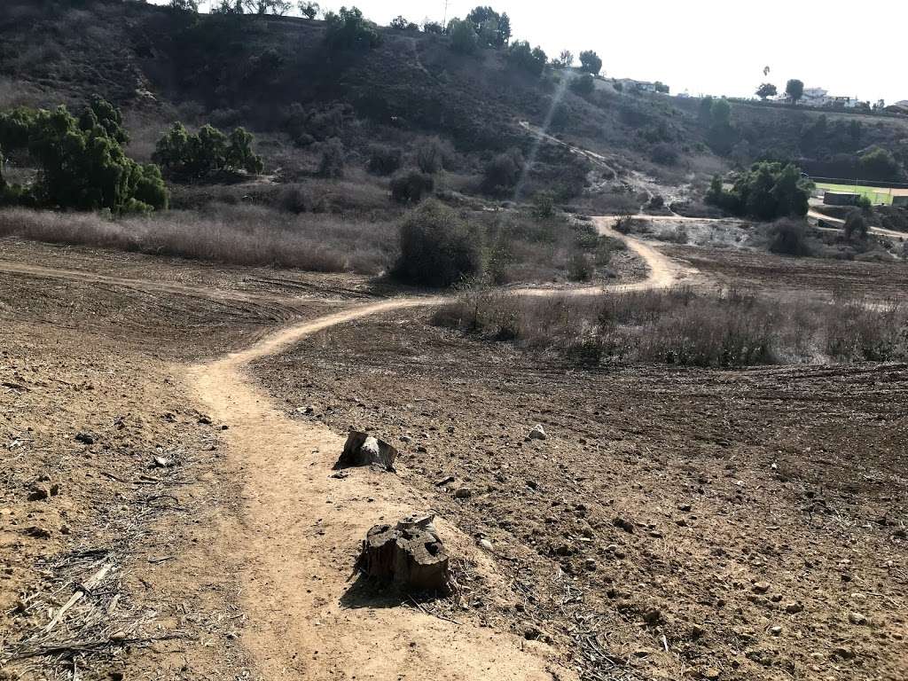 Worsham Canyon Trail | Canyon Dr, Whittier, CA 90601, USA