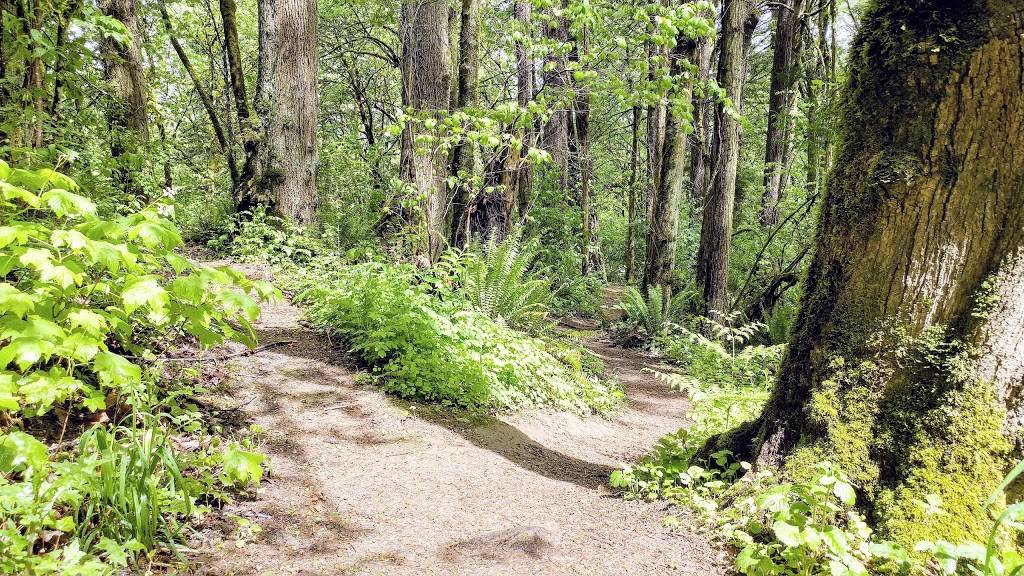 Marquam Nature Park | Main entrance:, SW Marquam St, Portland, OR 97201, USA | Phone: (971) 599-3667