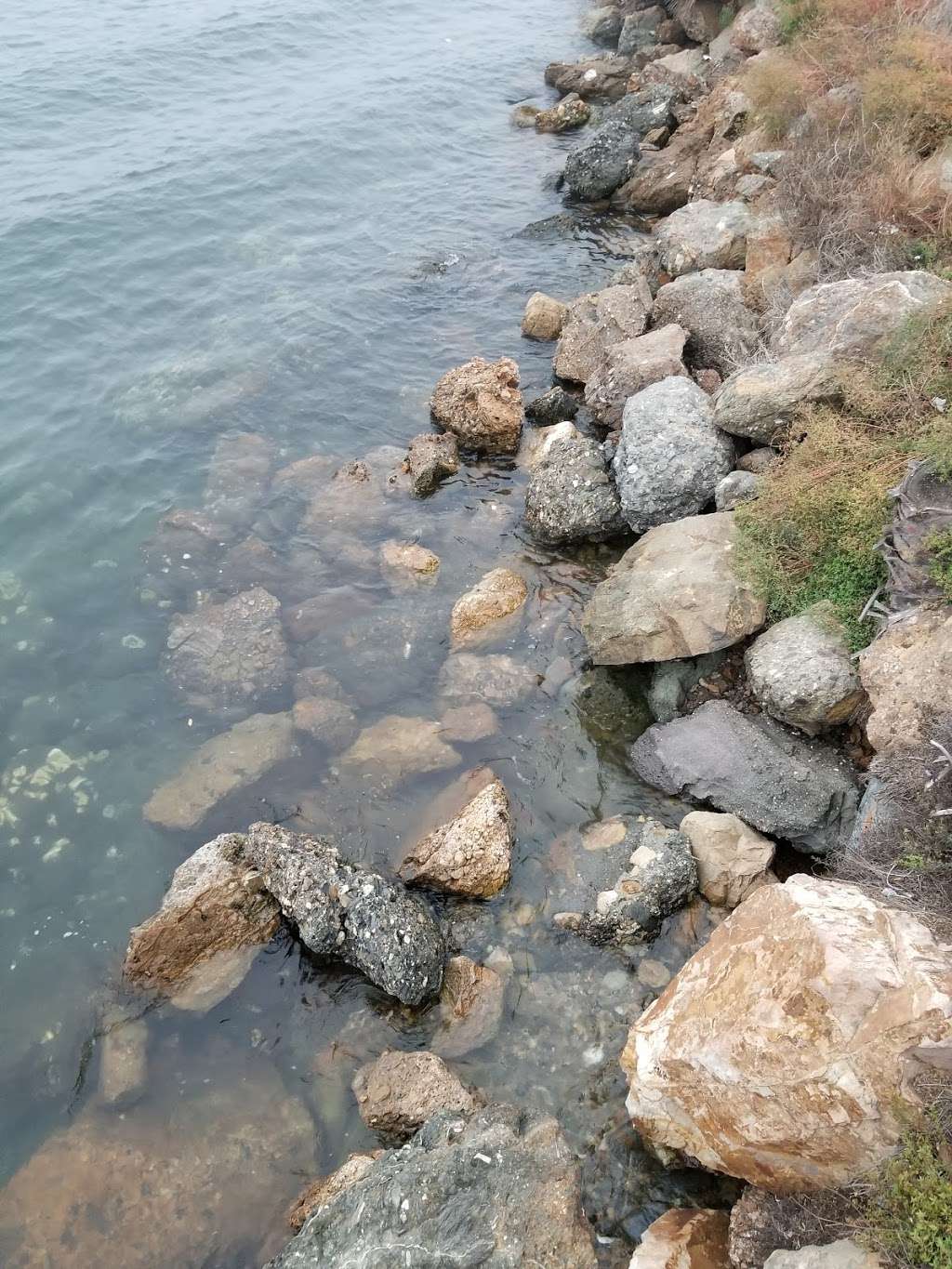 Marina del Rey Inlet & Park | Vía Marina, Venice, CA 90292, USA