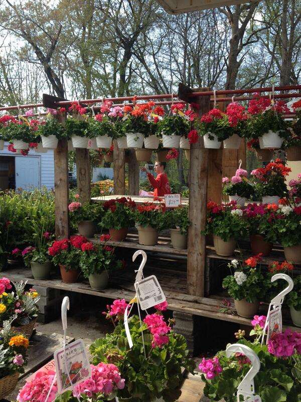 The Flower Station | 3500 Philmont Ave, Huntingdon Valley, PA 19006 | Phone: (215) 947-1866