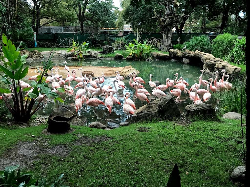 Houston Zoo - Main Entrance | 6200 Hermann Park Dr, Houston, TX 77030, USA | Phone: (713) 533-6500