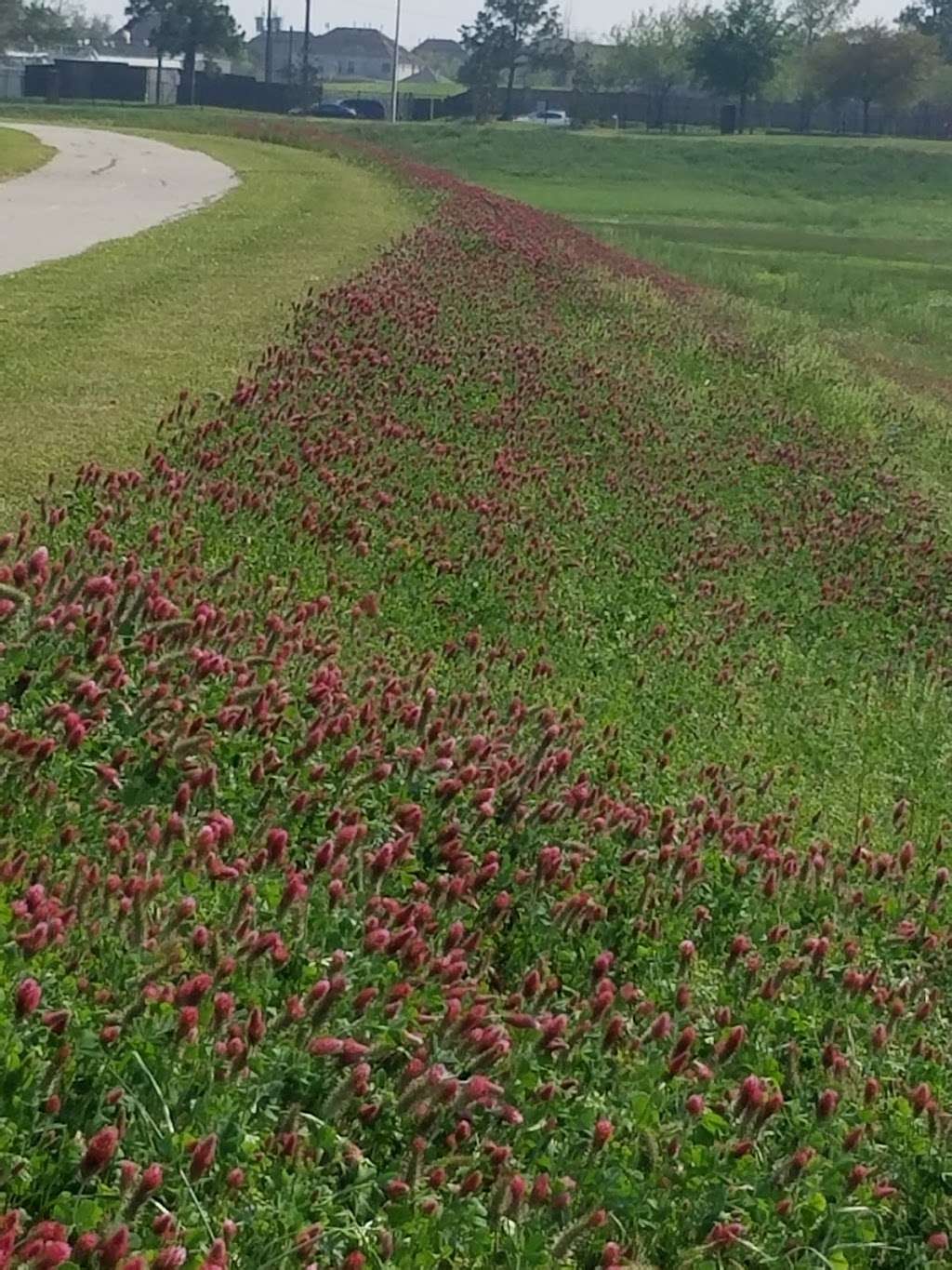 Mayde Creek North Hike & Bike Trail | 18907 Morton Rd, Houston, TX 77084, USA | Phone: (281) 496-2177