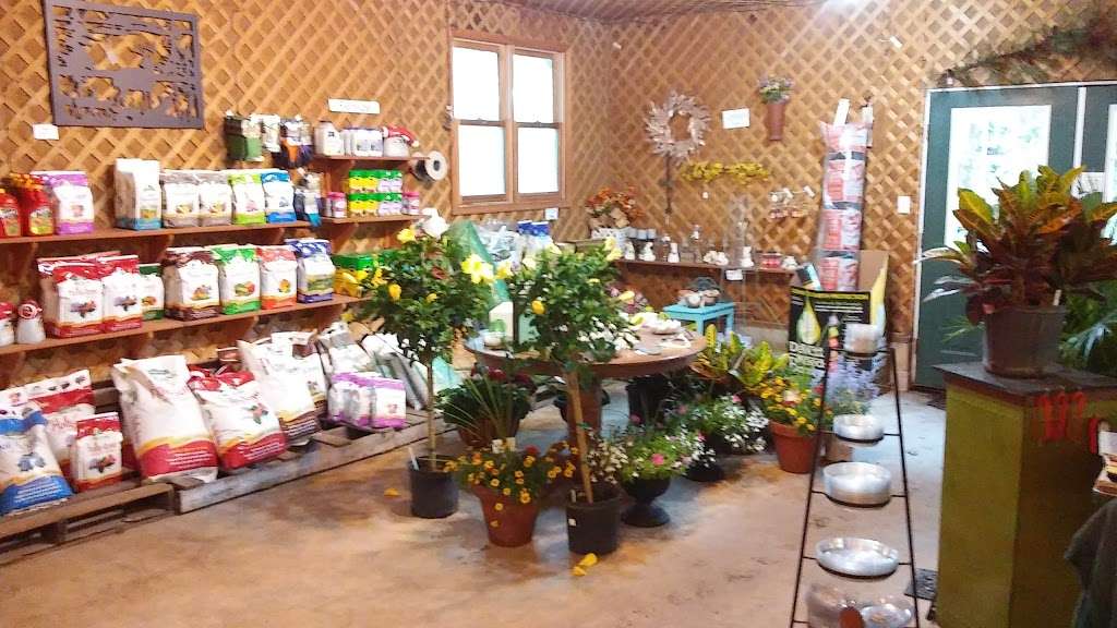 Wildflower Nursery | 915 Romancoke Rd, Stevensville, MD 21666 | Phone: (410) 604-2121