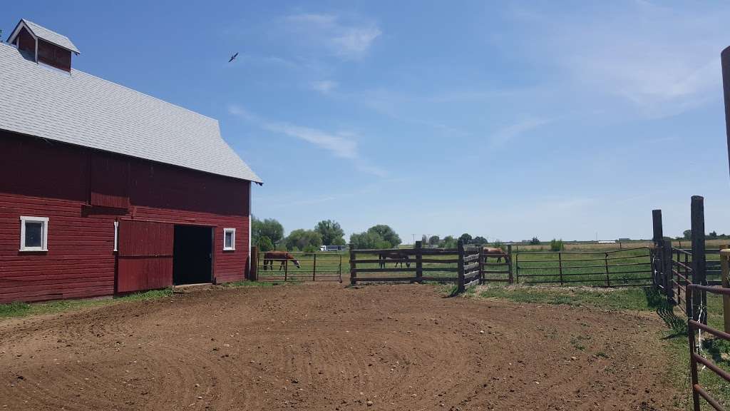 Rinn Valley Horse Farms | 3239-3275 Bella Rosa Pkwy, Longmont, CO 80504, USA