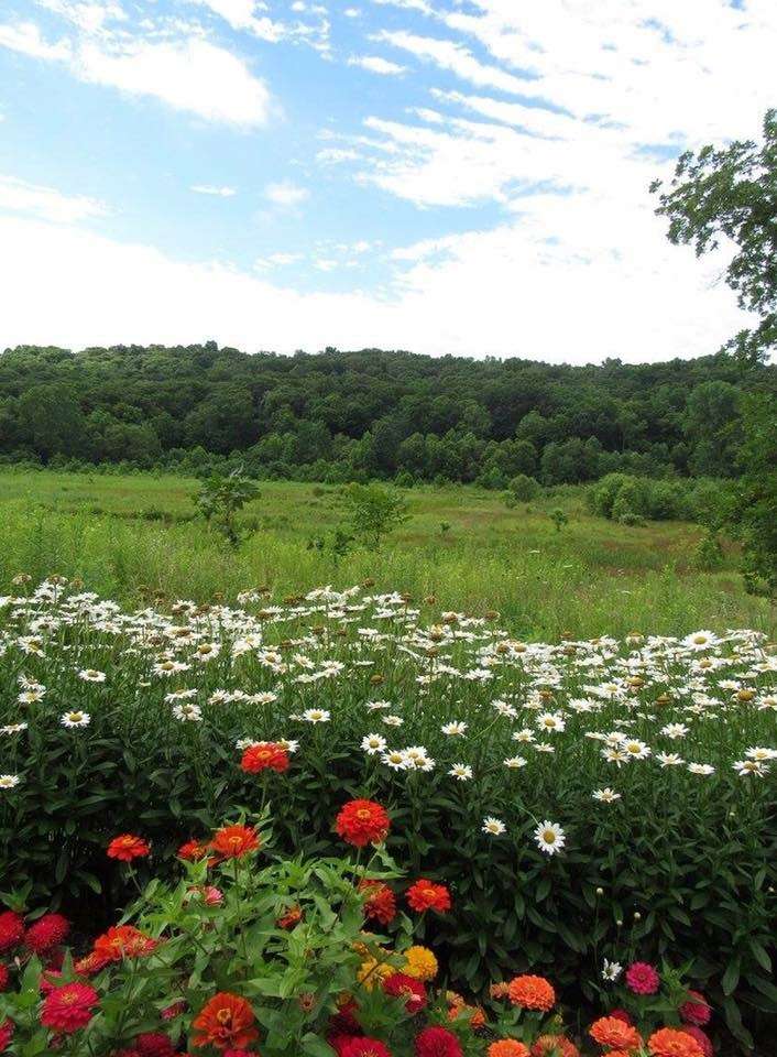 Zimmerman Wetland Bird Habitat | 4650 Bellsville Pike, Nashville, IN 47448, USA | Phone: (317) 409-2029