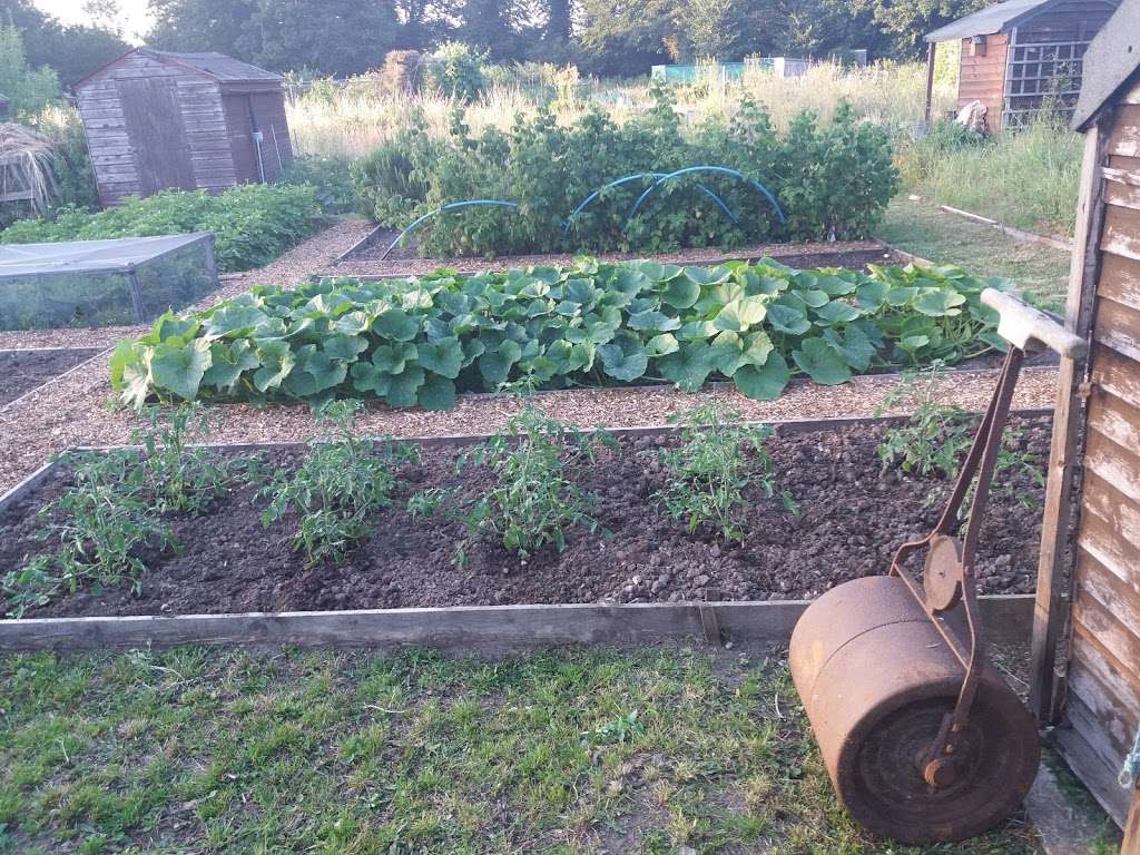 Bexley Allotments | Stable Meadows, N Cray Rd, Sidcup DA14 5EB, UK | Phone: 020 8303 7777