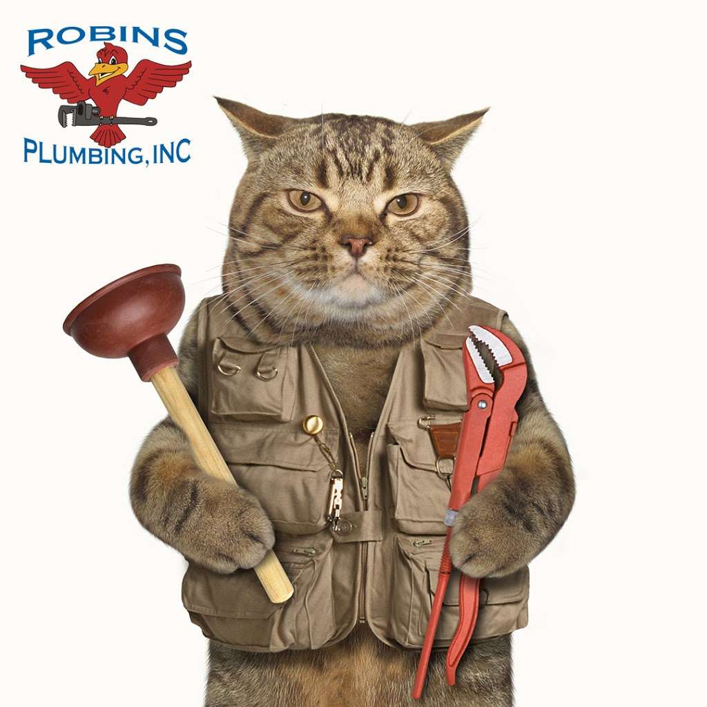 Robins Plumbing Inc | 5955 W Peoria Ave #5160, Glendale, AZ 85302 | Phone: (623) 486-4657