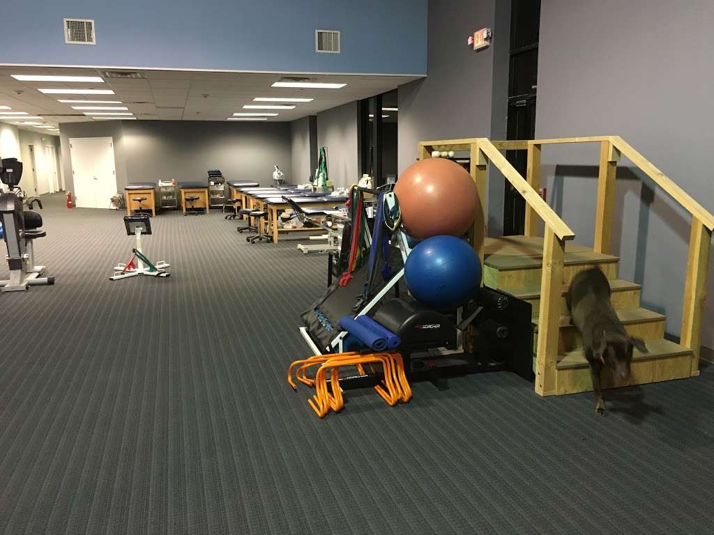 Precision Sports and Pediatric Physical Therapy | 234 Crossways Park Dr, Woodbury, NY 11797, USA | Phone: (516) 921-2900