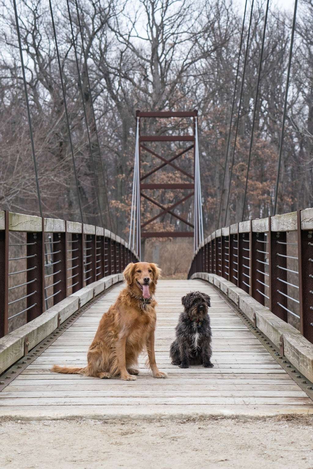 Big Rock Forest Preserve | 46W072 Jericho Rd, Big Rock, IL 60511, USA | Phone: (630) 232-1242