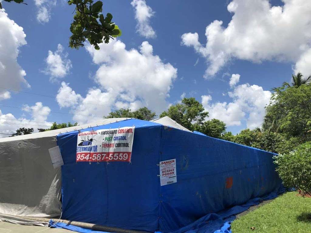 Bugs Extermination Termite and Pest Control Inc. in 3520 W Broward Blvd
