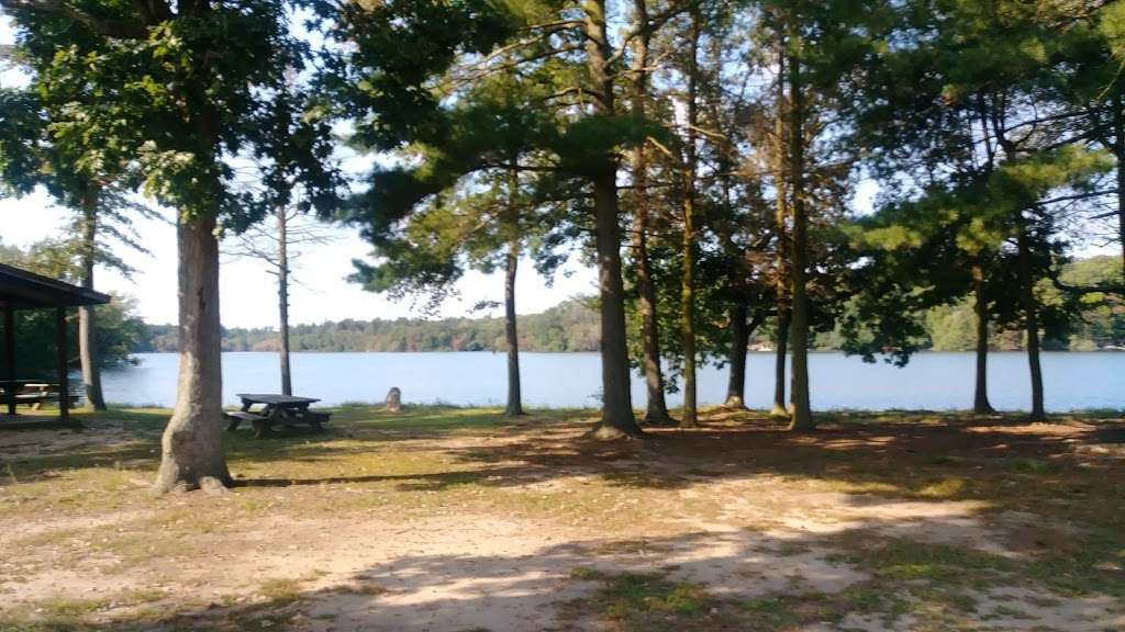 Piney Point Picnic Area | Piney Point, Bridgeton, NJ 08302, USA | Phone: (856) 453-1675