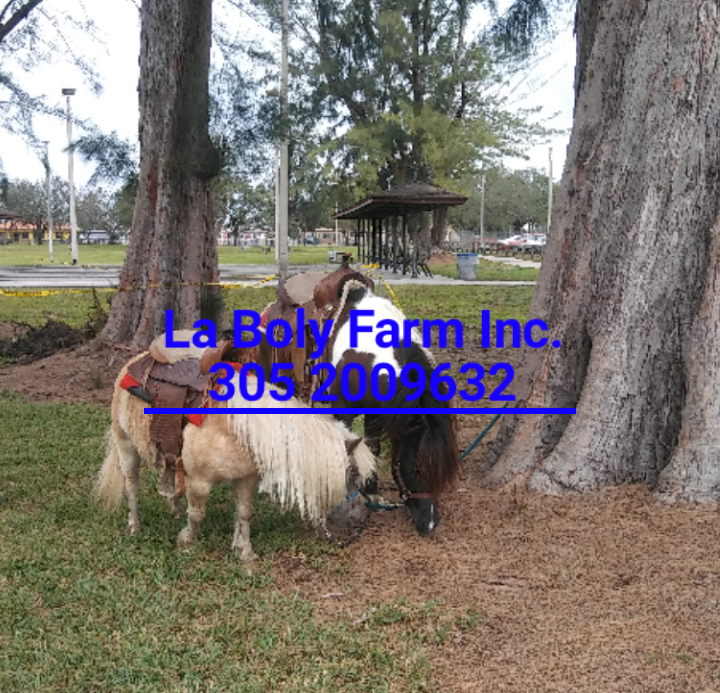 Buccaneer Park | 3100 NW 207th St, Miami Gardens, FL 33056, USA | Phone: (305) 624-3787