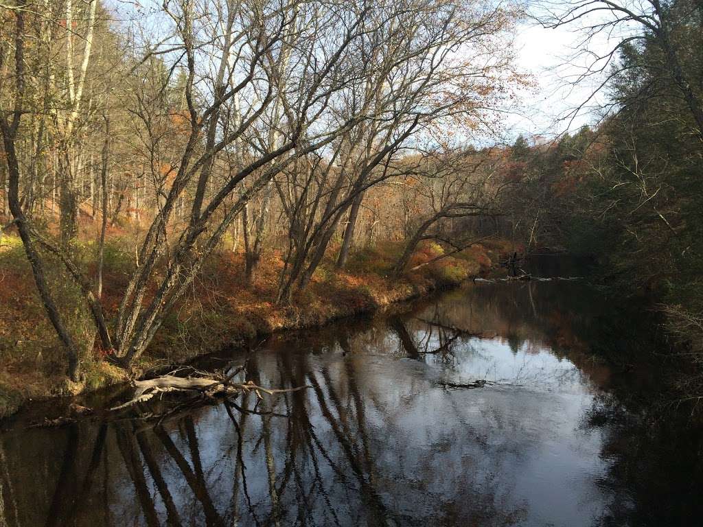 Walpack Fish and Wildlife Management Area | Layton, NJ 07851