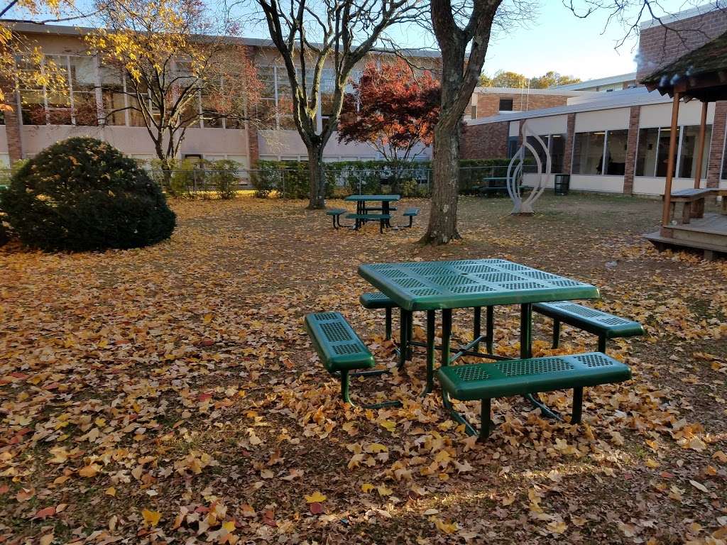 Locust Valley Middle School | 99 Horse Hollow Rd, Locust Valley, NY 11560, USA | Phone: (516) 277-5200