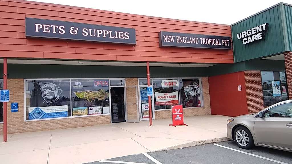 New England Tropical Pet | 49 Drum Hill Rd, Chelmsford, MA 01864, USA | Phone: (978) 453-3626