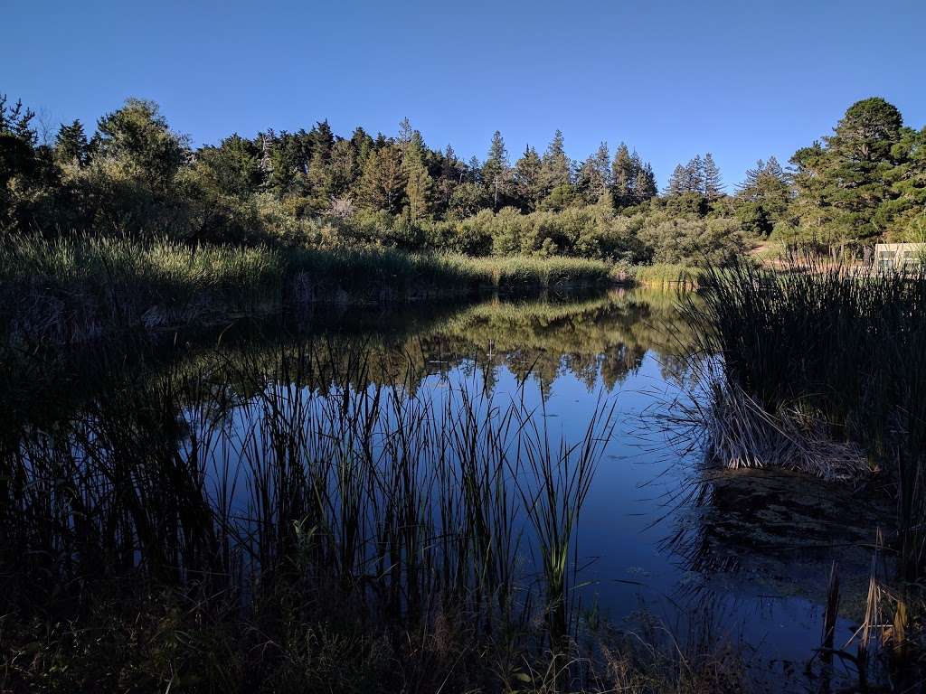 Midpeninsula Regional Open Space District Daniels Nature Center | 21141 Skyline Blvd, La Honda, CA 94020, USA | Phone: (650) 949-5270