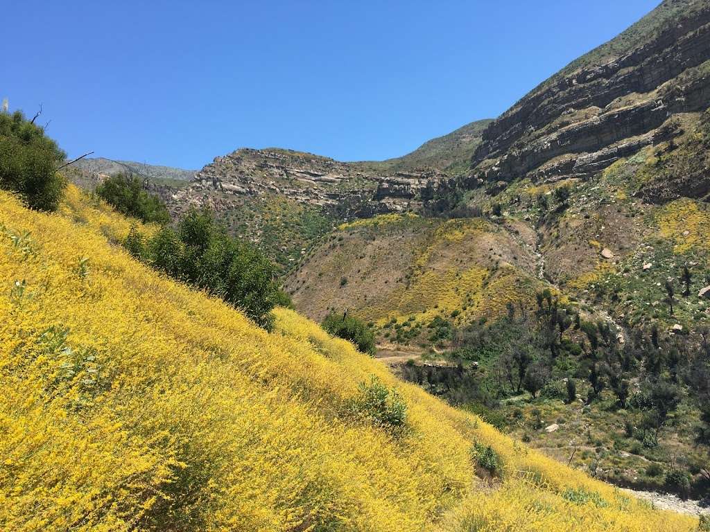 Matilija Falls | North Fork Matilija Creek, Ojai, CA 93023, USA