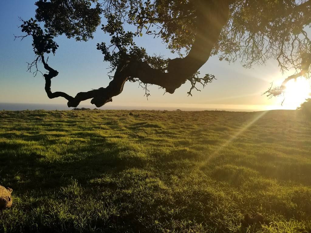 Moore Creek Preserve | Moore Creek Trail, Santa Cruz, CA 95060, USA | Phone: (831) 420-5270