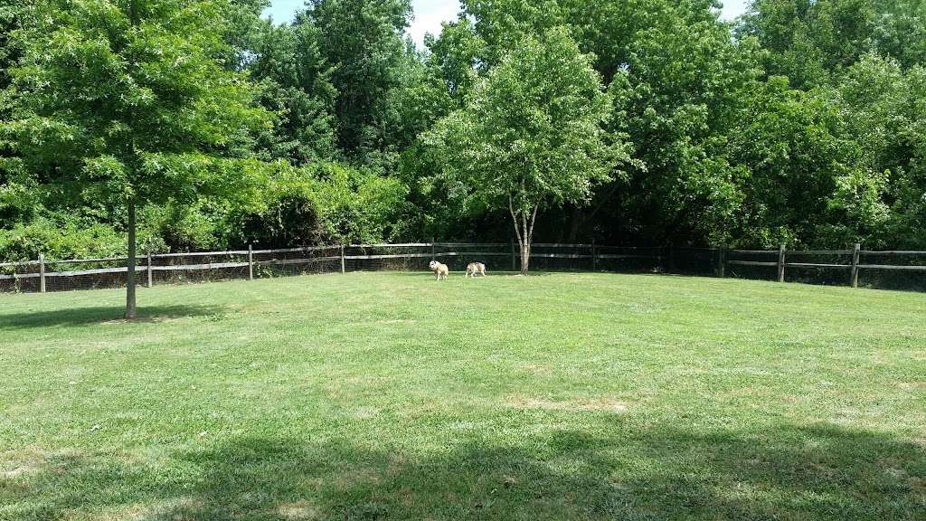 Island Dog Park | 306 Church St, Stevensville, MD 21666, USA | Phone: (410) 758-0835