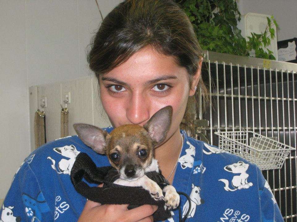 Family Veterinary Services | 402 US-206, Montague Township, NJ 07827, USA | Phone: (973) 293-7486