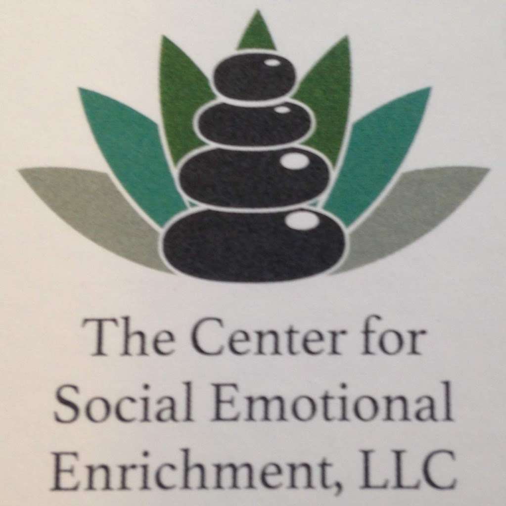 The Center for Social Emotional Enrichment | 111 John St, Lincoln, RI 02865, USA | Phone: (401) 533-7213