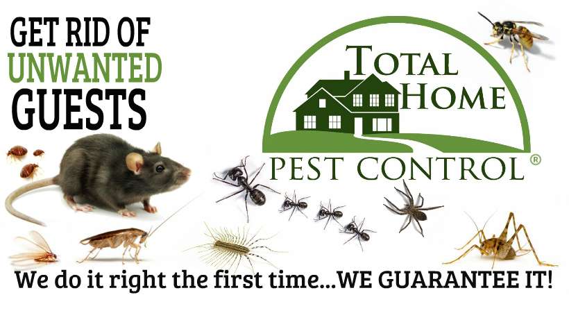 Total Home Pest Control | 119 Borden Rd, Middletown, NJ 07748, USA | Phone: (732) 938-3232