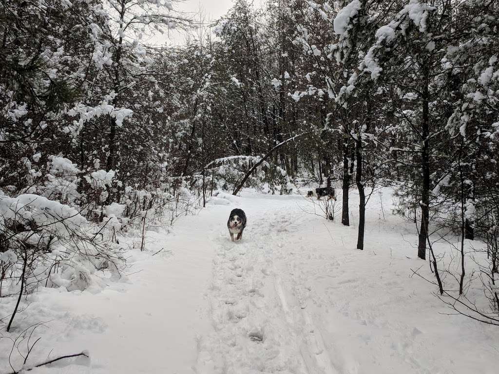 Piney Orchard Nature Preserve | 5 Maryland 2, Pasadena, MD 21122, USA