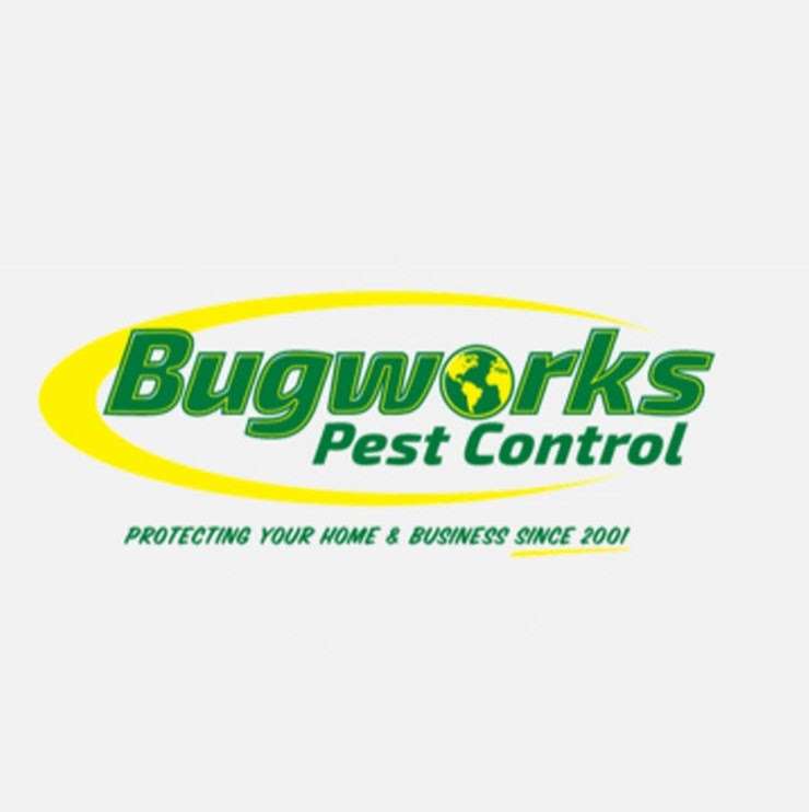 Bugworks Pest Control | 131 Kava Kava St, Henderson, NV 89015, USA | Phone: (702) 564-6692