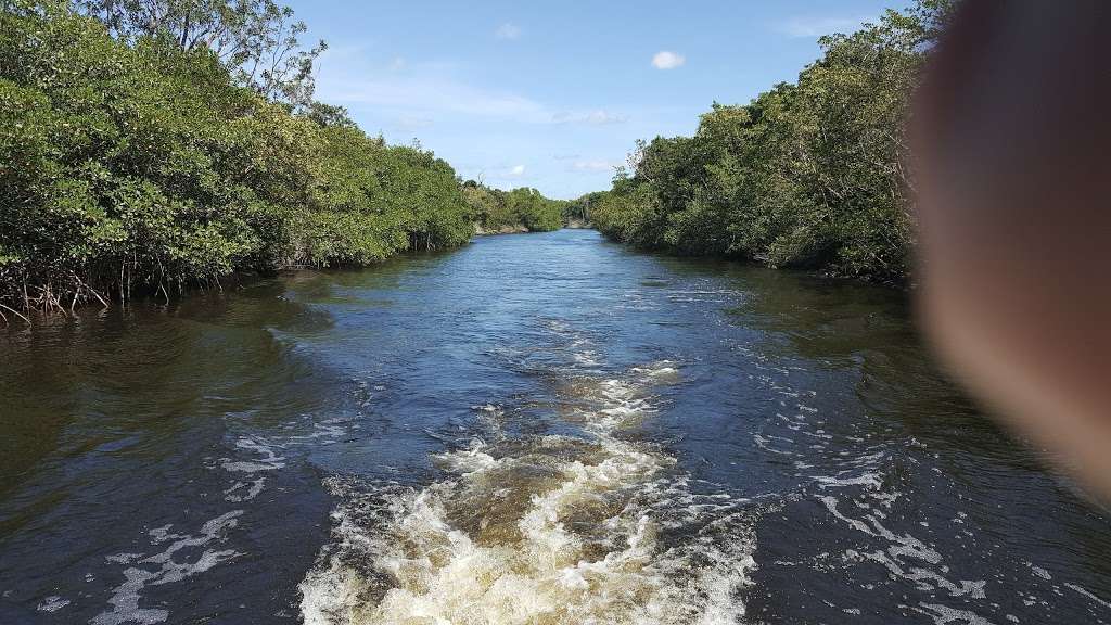 Pond Apple Slough | Fort Lauderdale, FL 33314, USA