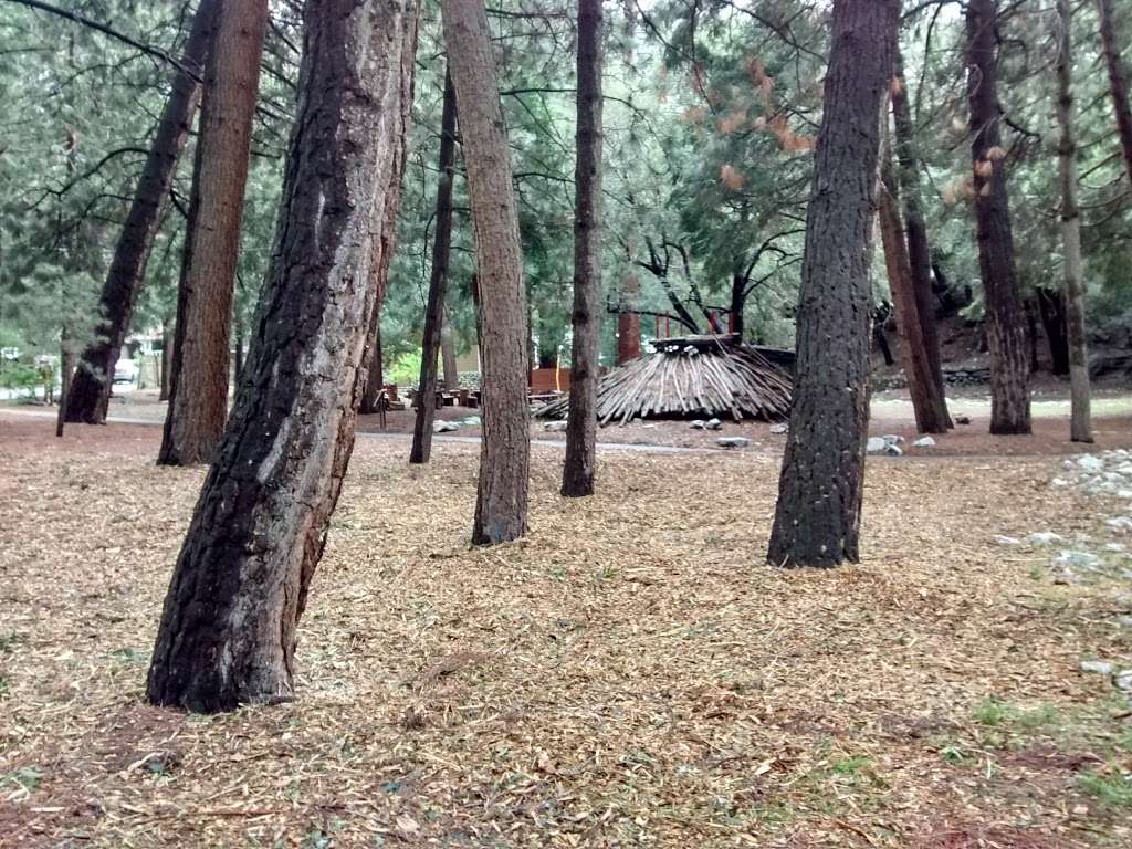 Mount Baldy Visitor Center | Mt Baldy Rd, Mt Baldy, CA 91759, USA | Phone: (909) 982-2829