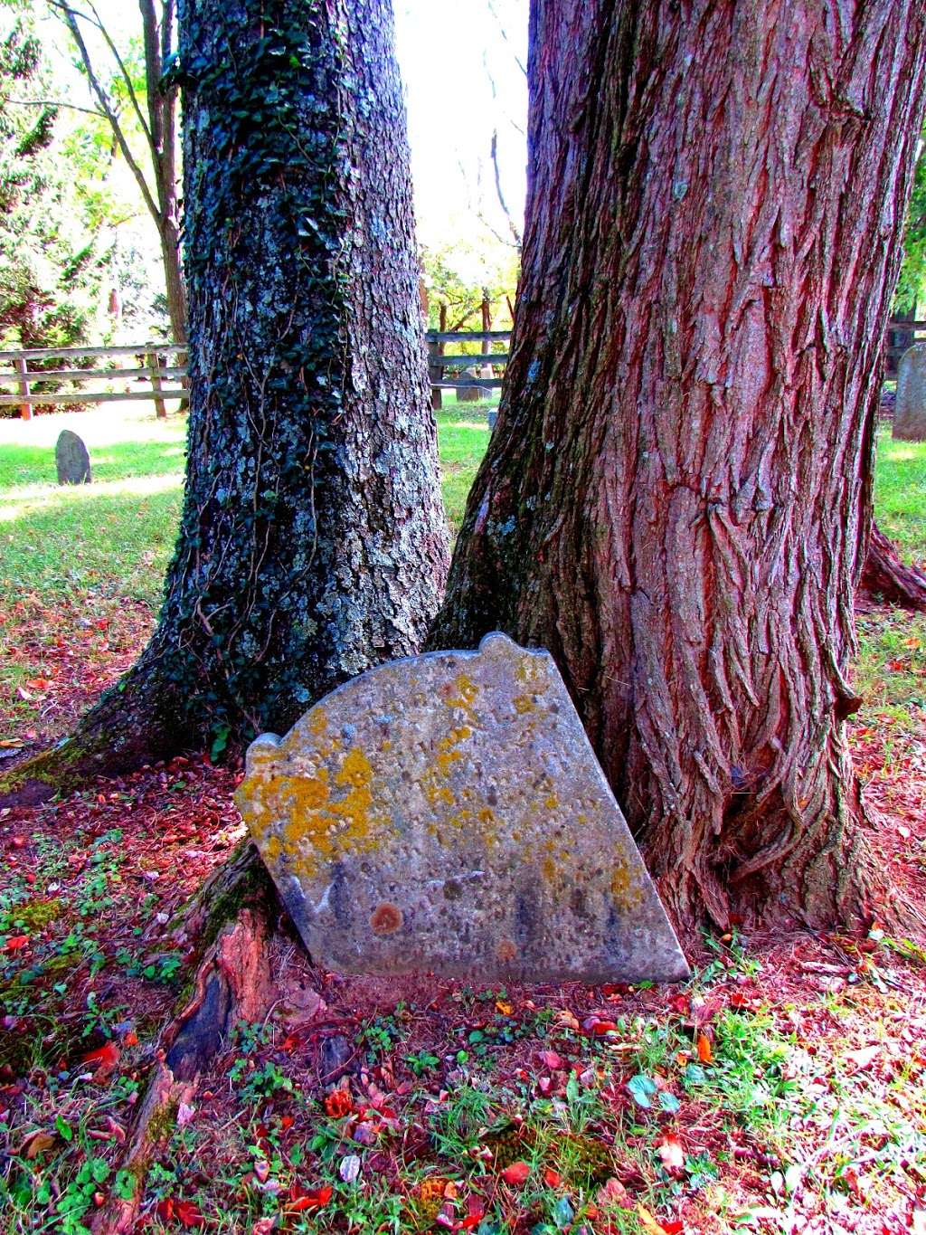 Waterford Union of Churches Cemetery | 40287 Fairfax St, Waterford, VA 20197, USA | Phone: (540) 822-0011