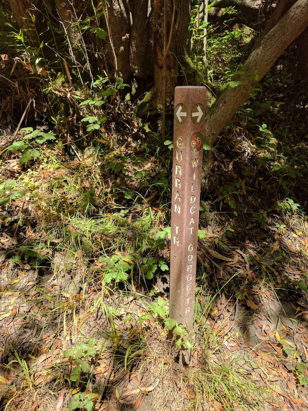 Fairy Post office | Curran Trail, Berkeley, CA 94708