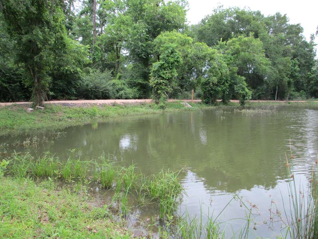 Dennis Johnston Park | 709 Riley Fuzzel Rd, Spring, TX 77373, USA | Phone: (281) 353-8100